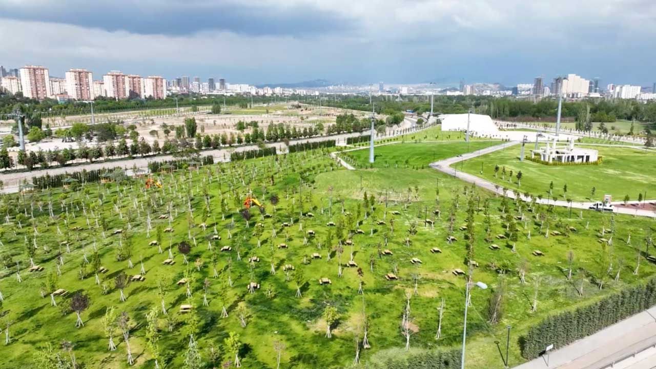 Ankara ata mirasına sahip çıkıyor: Atatürk Orman Çiftliği'nde 940 bin metrekare alanda çalışma