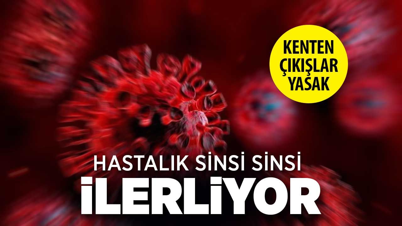 Türkiye'de Hızla Yayılan Şap Hastalığı Endişesi: 15 Köy ve Merkez Karantinaya Alındı
