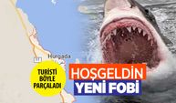 Köpekbalığı saldırısı Akdeniz'de olmadı