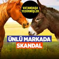 GÜNCEL