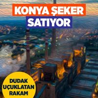 ŞİRKETLER