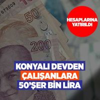 ŞİRKETLER