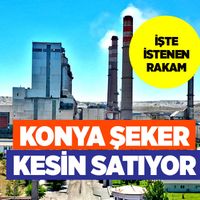 ŞİRKETLER