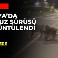 KONYA