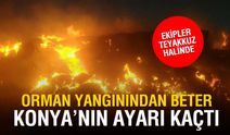 Konya Alarmda: Yangınlar ve Kazalar Şehri Teslim Aldı!