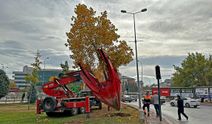 Konya'da sökülen ağaçların nereye gittiği bulundu