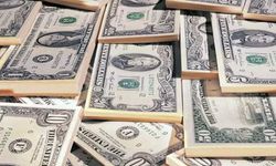Google Doları 24 TL Yaptı