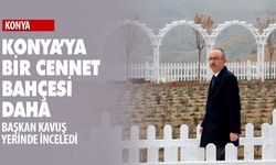 Konya'nın Meram Deresi'ndeki o düzlüğe lavanta bahçesi