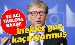 Bill Gates ineklerin gaz kaçırmaması için 12 milyon dolar bağışladı