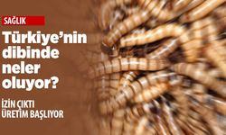 Avrupa'dan ithal gıdalara dikkat! Yerken bir daha düşünün