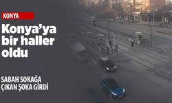 Konya'da bugün sokağa çıkan şok oldu! Eksi 11...