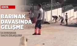 Konya’daki barınak davasında tahliye itirazı reddedildi