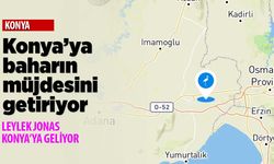 Leylek Jonas Konya'ya bahar müjdesini getiriyor
