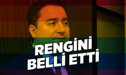 Ali Babacan LGBT'ye sahip çıktı