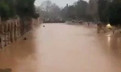 Balıklıgöl'ün balıkları nerede?