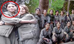 Terörist değiliz diye yırtınıyorlar ama... Ayten Dönmez tutuklandı