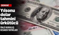 Yılsonu Dolar/TL tahmini ürküttü
