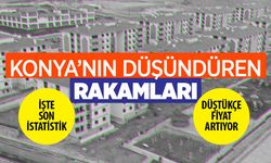 İstatistikler açıklandı! Fiyatlar uçuyor Konya'da evler küçülüyor