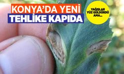 Bir taraf yağışlara seviniyor diğer tarafta tehlike bekliyor