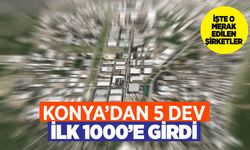 Konya'nın 5 devi Türkiye'nin ilk 1000 şirket arasına girdi