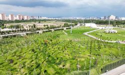 Ankara ata mirasına sahip çıkıyor: Atatürk Orman Çiftliği'nde 940 bin metrekare alanda çalışma