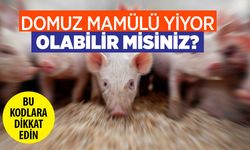 Bu kodları not alın! İçinde domuz mamülü olan ürünler nasıl anlaşılır?