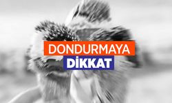 Hangi dondurmalardan uzak durmanız gerektiğini biliyor musunuz?