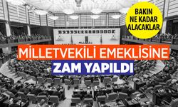 Emekli milletvekili maaşına bakın