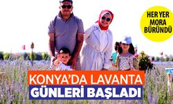 Konya'da lavanta zamanı geldi