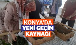 Konya'nın yeni geçim kaynağı: 100 metrekare alanda başladı