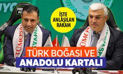 Türk Boğası Anadolu Kartalı'na sponsor oldu! Konyaspor'un ismi de beklenti de değişti
