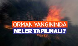 Orman Yangınları: Sebepleri ve Acil Müdahale Önlemleri