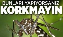 Asya Kaplan Sivrisineği: Tehlikeleri, Türleri ve Korunma Yolları