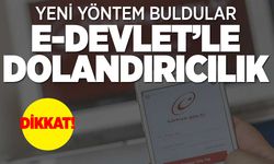 e-Devlet ile dolandırıcılık yapıyorlar
