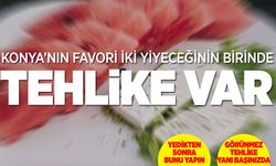 Konya'da Sıcak Havalarda Brucella Riski: Süt Ürünleri Dikkat Çekiyor