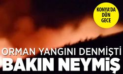 Beyşehir'de orman yangını meğer saman yangınıymış