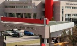 Doğu Anadolu'da marka başvuruları arttı
