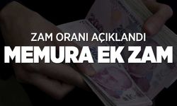 Kamu Görevlilerine 2024-2025 Zam Oranları Belli Oldu: İşte Detaylar