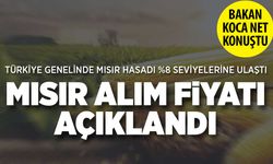Türkiye'de Mısır Alım Fiyatı Ton Başına 6.000 TL Olarak Belirlendi