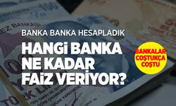 Hangi Banka Ne Kadar Faiz Veriyor! İşte hesaplanmış kazançlar