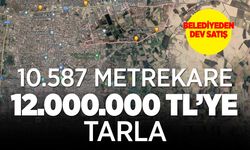 Konya Ereğli Belediyesi 10587 Metrekare Tarlayı Satışa Çıkardı
