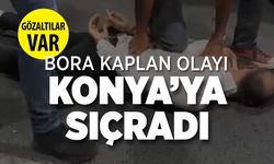 Konya ve 4 Şehirdeki Bora Kaplan Operasyonunda 20 Kişi Gözaltında