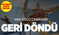 Tatvan'da Gözler Göle Dönüyor: Van Gölü Canavarı Efsanesi Tekrar Gündemde