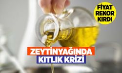 Geçen yıl 115 liraydı: Zeytinyağı fiyatları tavan yaptı, litre fiyatı 400 lirayı aştı