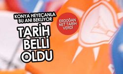 Erdoğan: Büyükşehir adaylarını aralık ayının sonuna doğru açıklayacağız