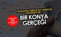 KONYA GERÇEĞİ: Tarımda birinci olan Konya GSYH'de Türkiye ortalamasının gerisinde kaldı