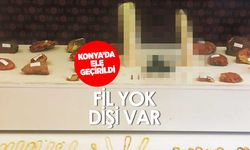 Fil yok dişi var! Konya bu operasyonu konuşuyor