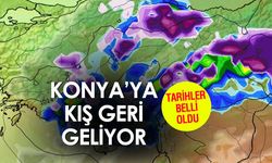 Konya'da ağaçlar çiçek açtı kış geri geliyor