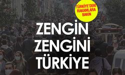 Türkiye'de Ultra Zenginlerin Sayısı Rekor Artışla Zirveye Ulaştı!