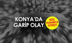 Beyşehir'de Garip Olay! Ağaç Budamaya Gitti, Tabutu Geldi